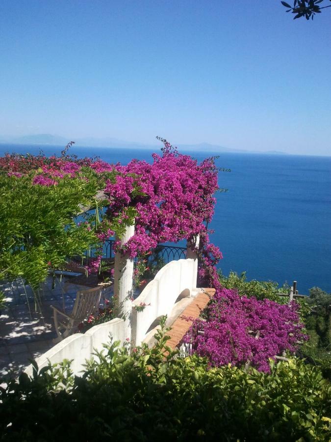 Suite I Limoni Ravello Kültér fotó